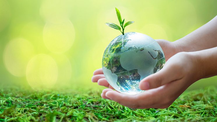 World-Environment World Environment
