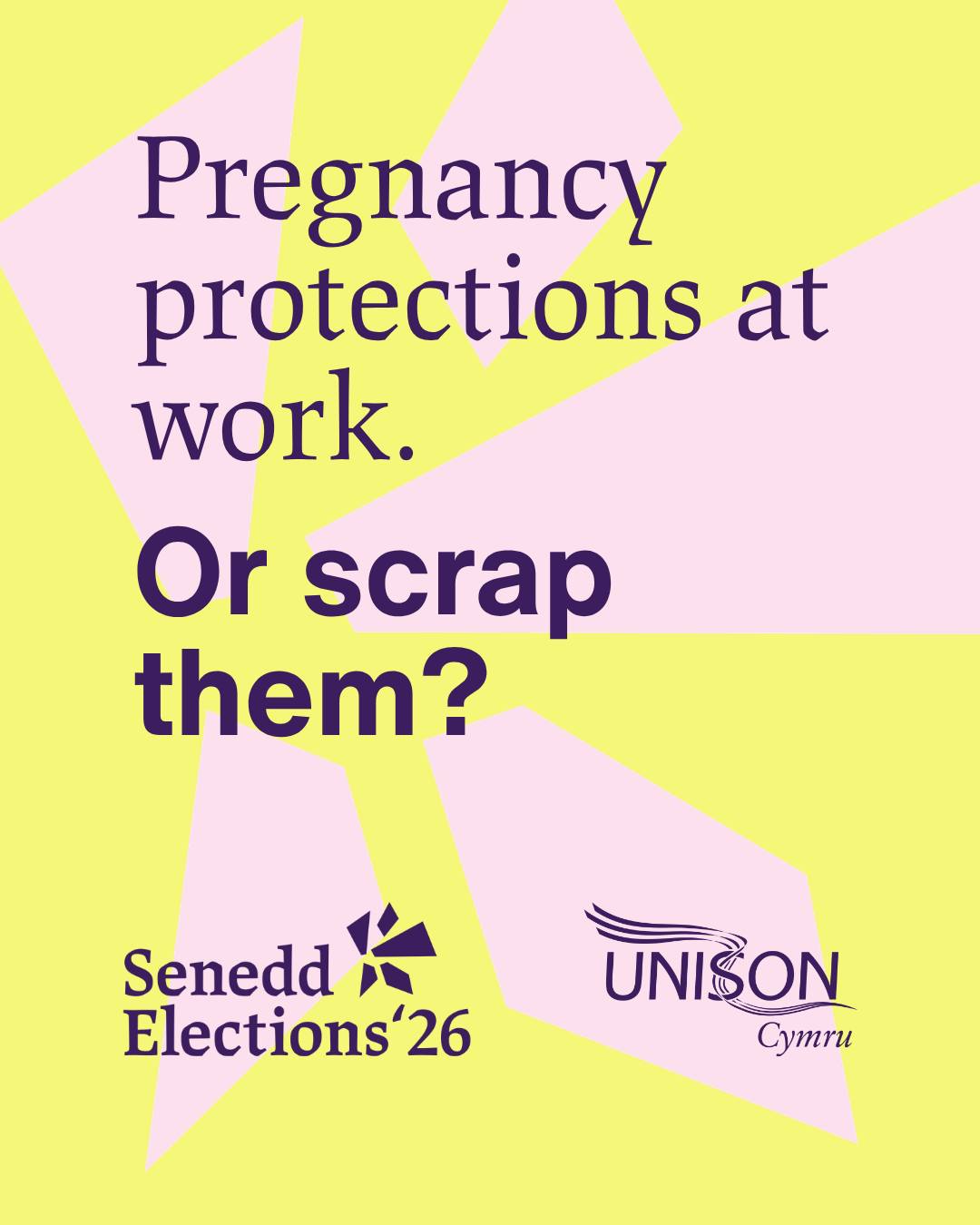 Senedd 2026 Pregnancy