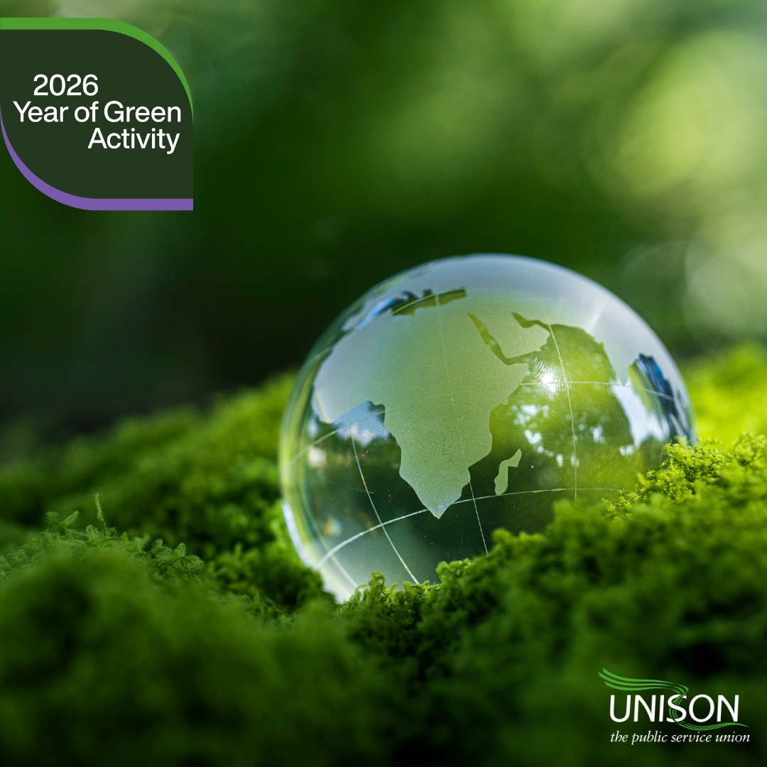 Year Of Green Activity 2026